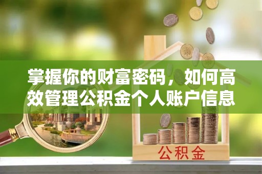 改则掌握你的财富密码，如何高效管理公积金个人账户信息