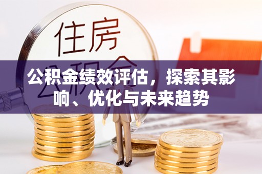 改则公积金绩效评估，探索其影响、优化与未来趋势