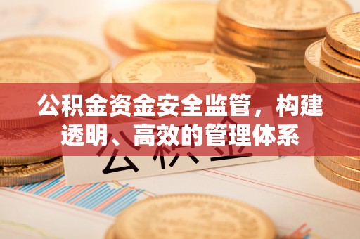 改则公积金资金安全监管，构建透明、高效的管理体系