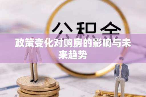 改则政策变化对购房的影响与未来趋势