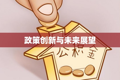 改则政策创新与未来展望