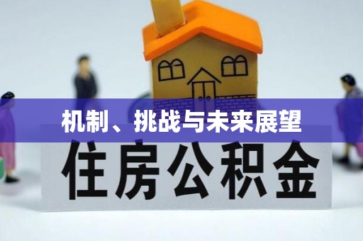 改则机制、挑战与未来展望
